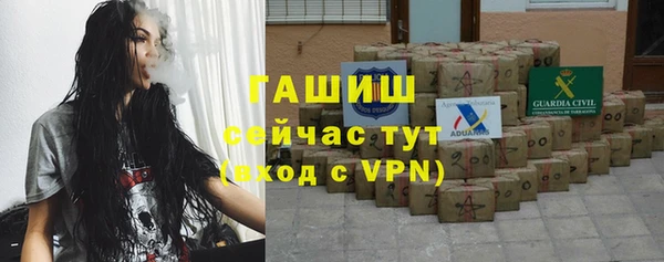 стаф Богданович