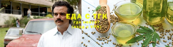 стаф Богданович