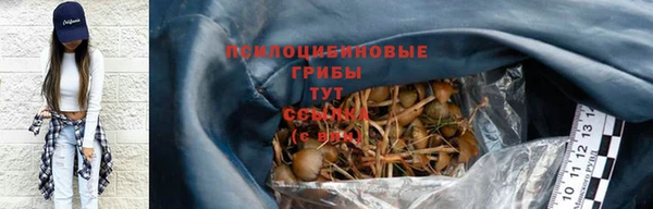 амф Богородск