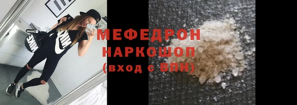 стаф Богданович