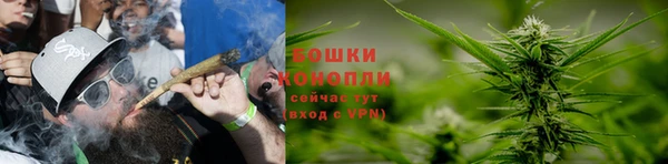 амф Богородицк