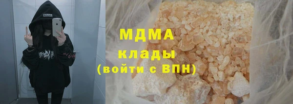 стаф Богданович