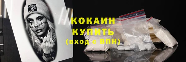 стаф Богданович