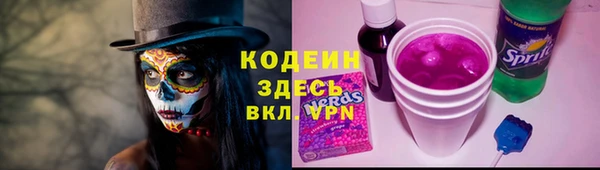 стаф Богданович