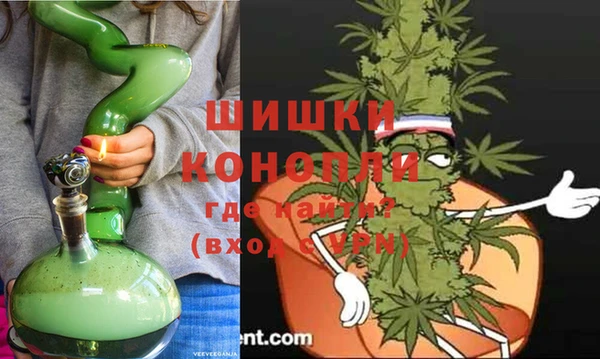 стаф Богданович
