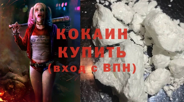 стаф Богданович