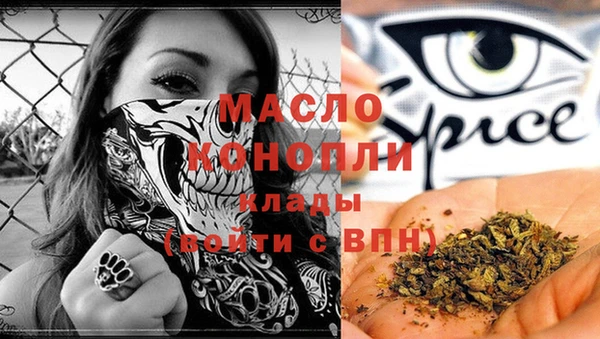 стаф Богданович